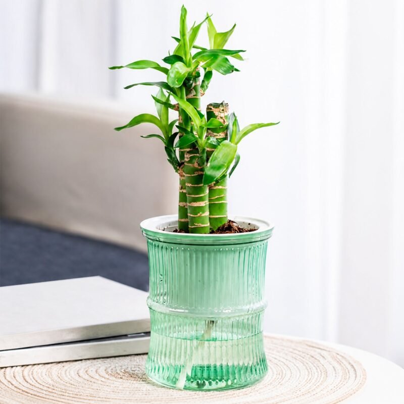 Self-Watering Bamboo Style Plastic Flower Pot � Easy Indoor Plant Care