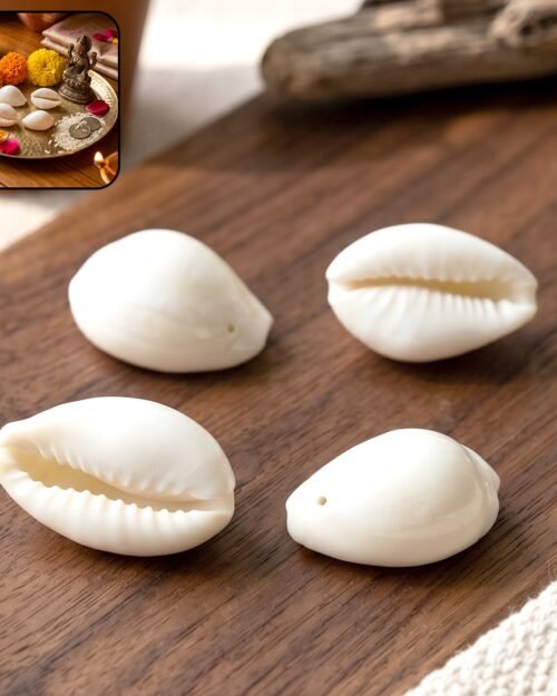 Natural Kaudi Cowrie Shells – Ideal for Pooja & Decor