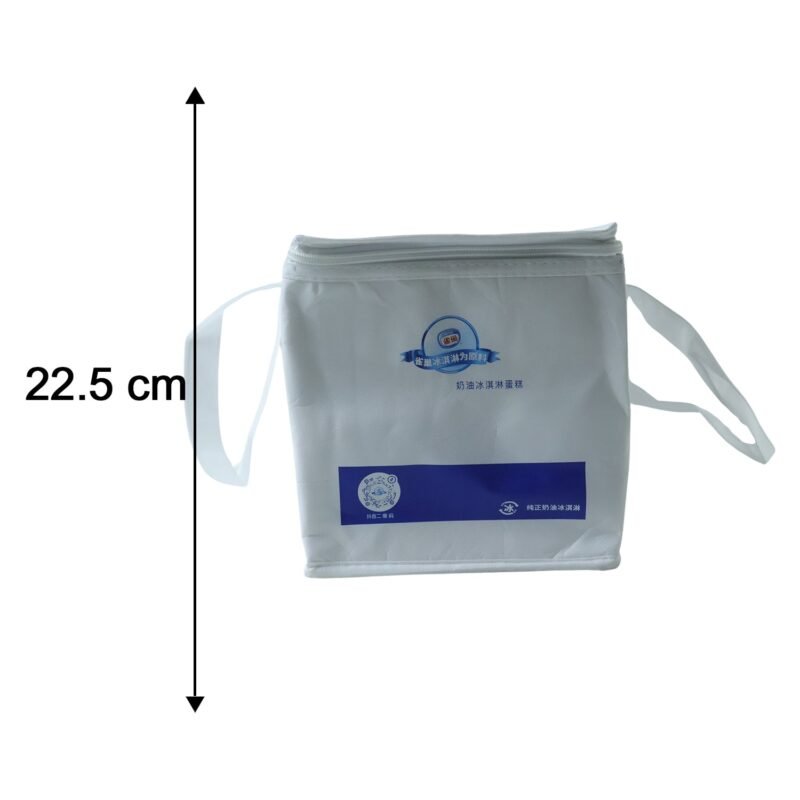 Insulated Thermal Lunch Bag – Keeps Food Hot & Cold for Hours