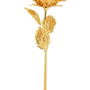 ZfjzbY349z_ffa290f1-b350-4056-b8e1-6d92cb160c98.jpg Golden Rose Decoration Set – Elegant 3-Piece Mix Color Display