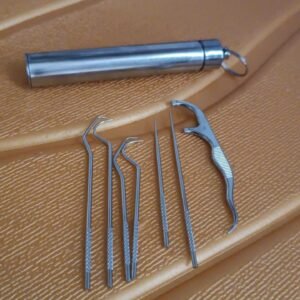Stainless Steel Toothpick Set � 7-in-1 Portable Dental Kit | AuriGlam