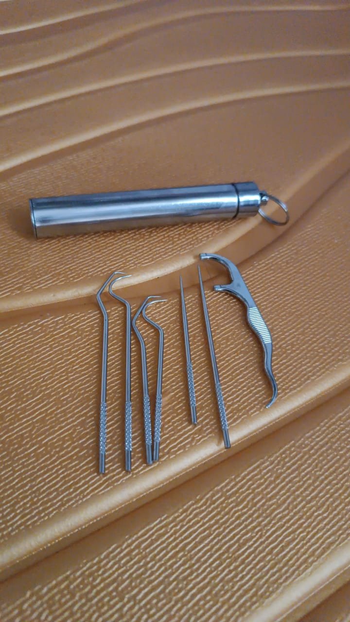 Stainless Steel Toothpick Set � 7-in-1 Portable Dental Kit | AuriGlam