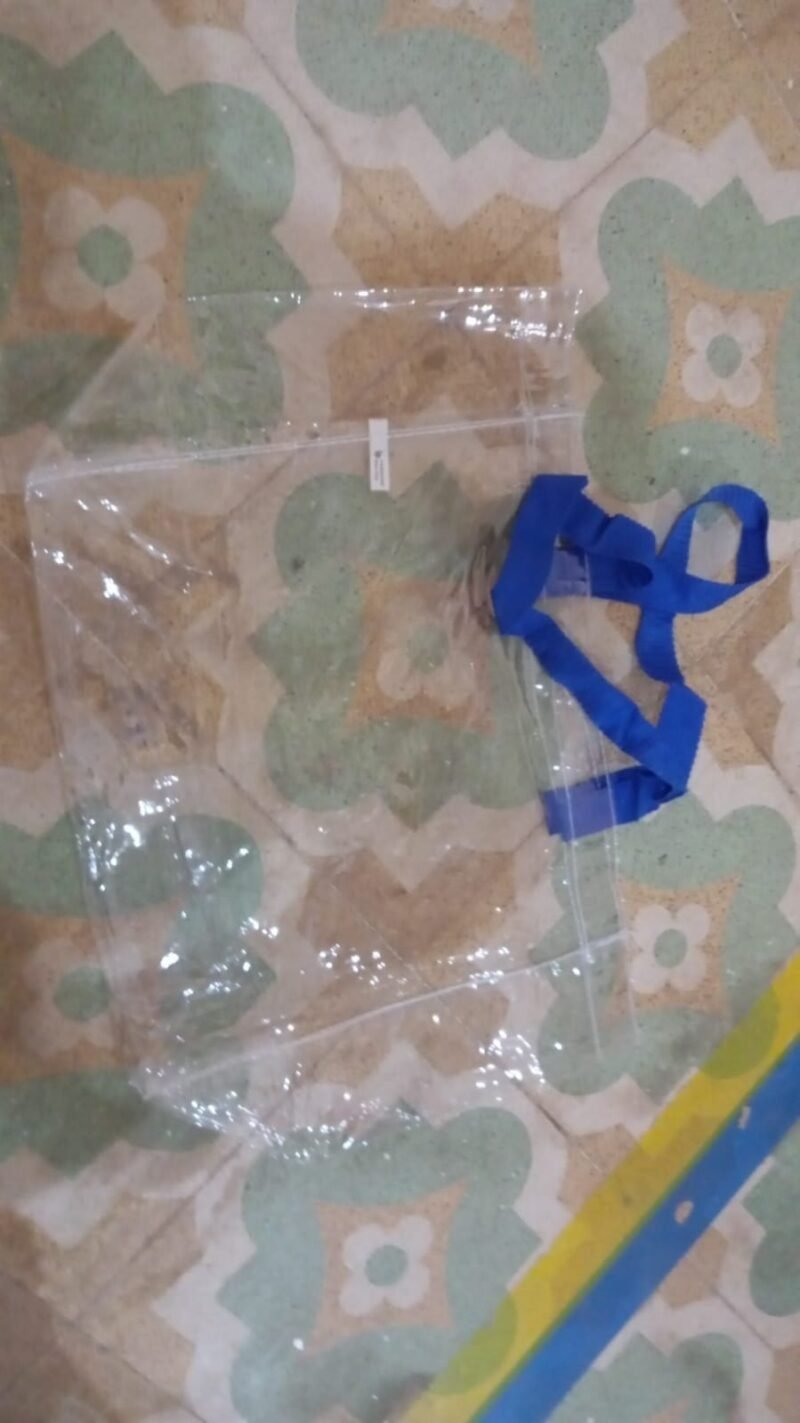 Transparent Gift Bag – Large Reusable Carrier | Velvet Organizers